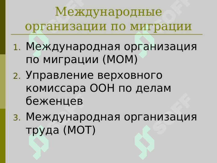 Международные организации по миграции 2