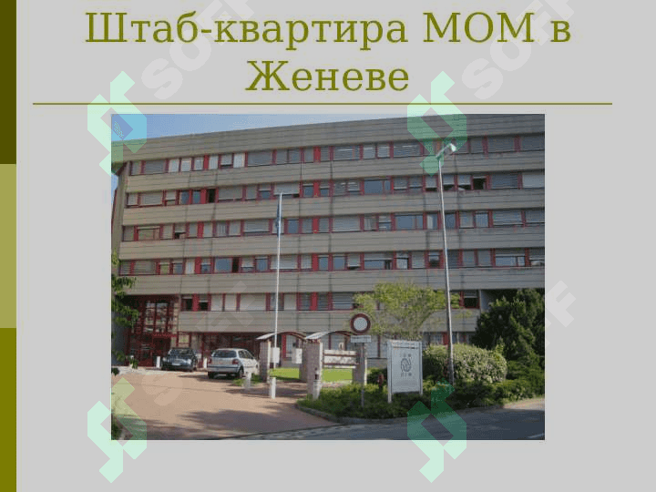 Международные организации по миграции 5