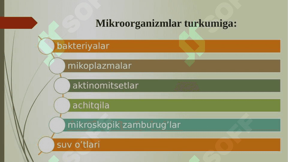 Mikroorganizmlar ularning turlari qoʼllanilish sohalari 4