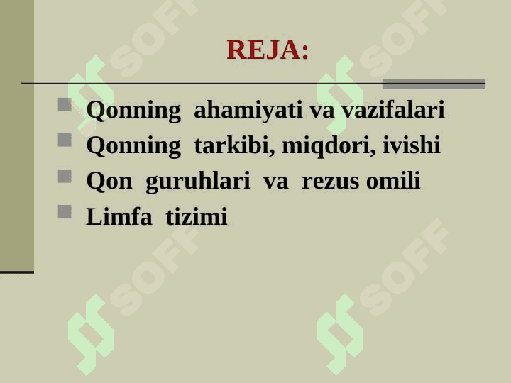 QON TOMIR VA LIMFA TIZIMI 2