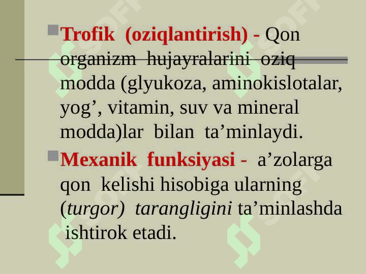 QON TOMIR VA LIMFA TIZIMI 5