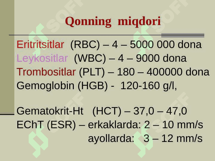 QON TOMIR VA LIMFA TIZIMI 8