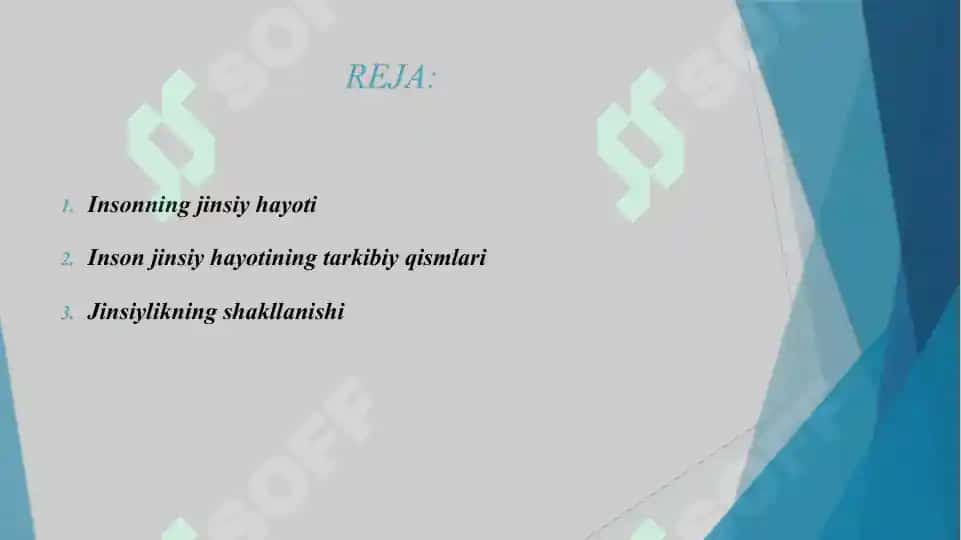 SHAXSNING JINSIY XULQ-ATVORI 2