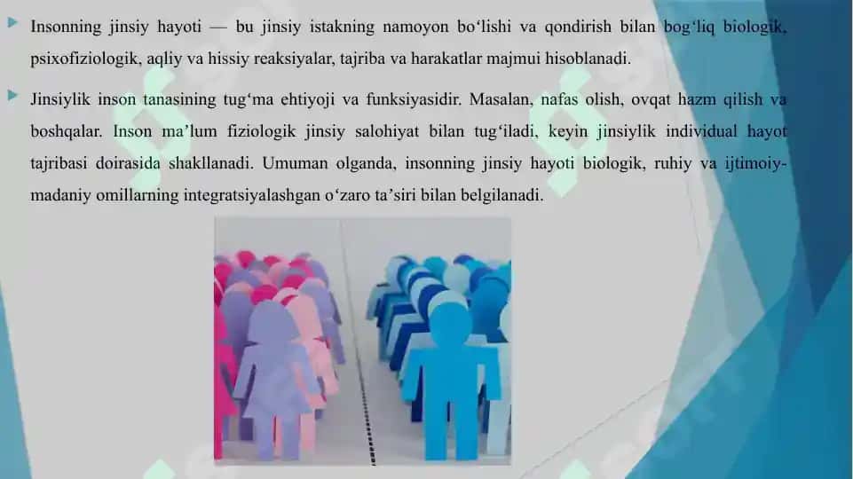 SHAXSNING JINSIY XULQ-ATVORI 3
