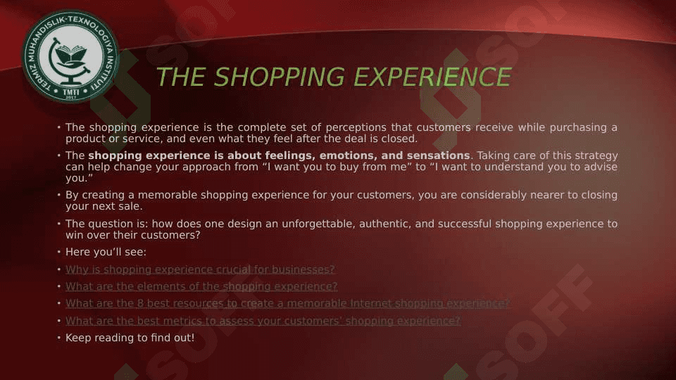 THE SHOPPING EXPERIENCE 2
