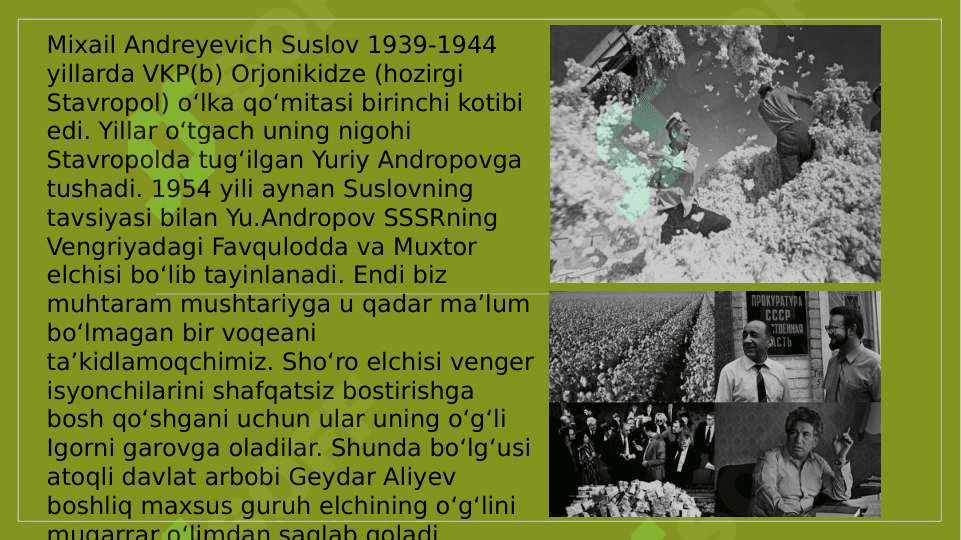 PAXTA ISHI VA OZBEK ISHI 3