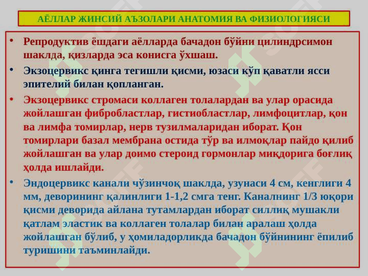 ayollar jinsiy a'zolari 3
