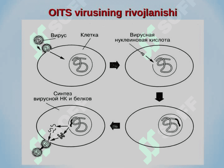 OITS – 21-ASR VABOSI 6