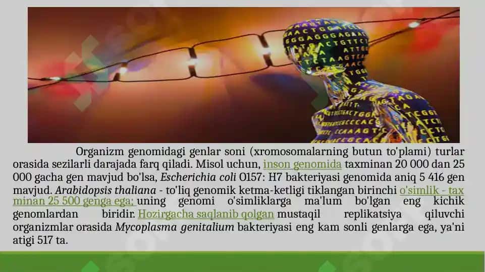 Gen konsepsiyasi haqida tushuncha 7