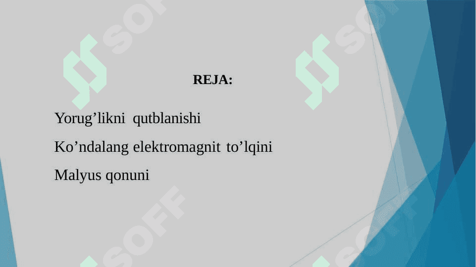 Yorug’likninig qutblanishi 2