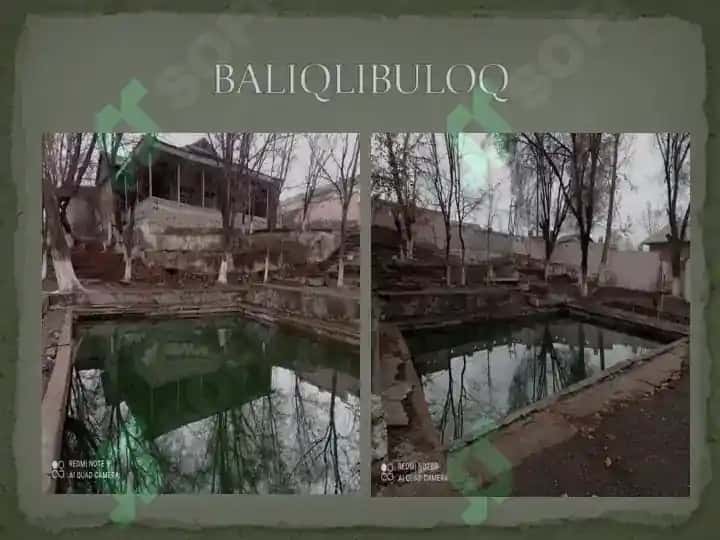 OLMOS TARIXI 4