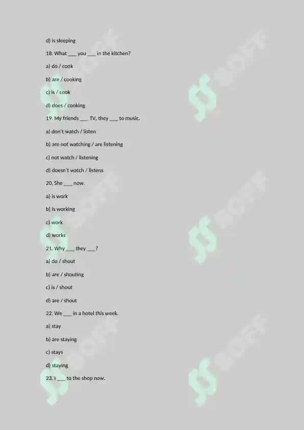 English Grammar Quiz 4