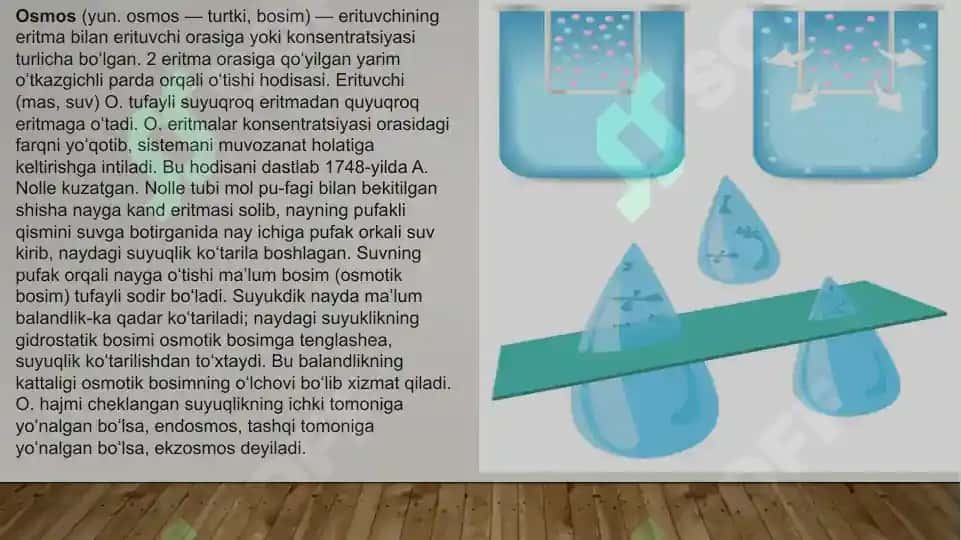 Diffuziya va osmos xodisasi haqida slayd 4