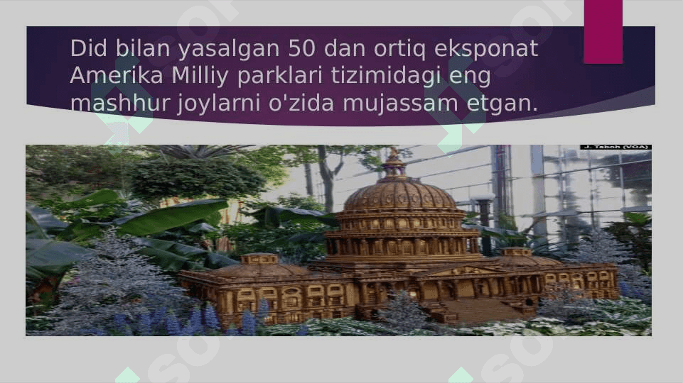 AQSh milliy parklari 4