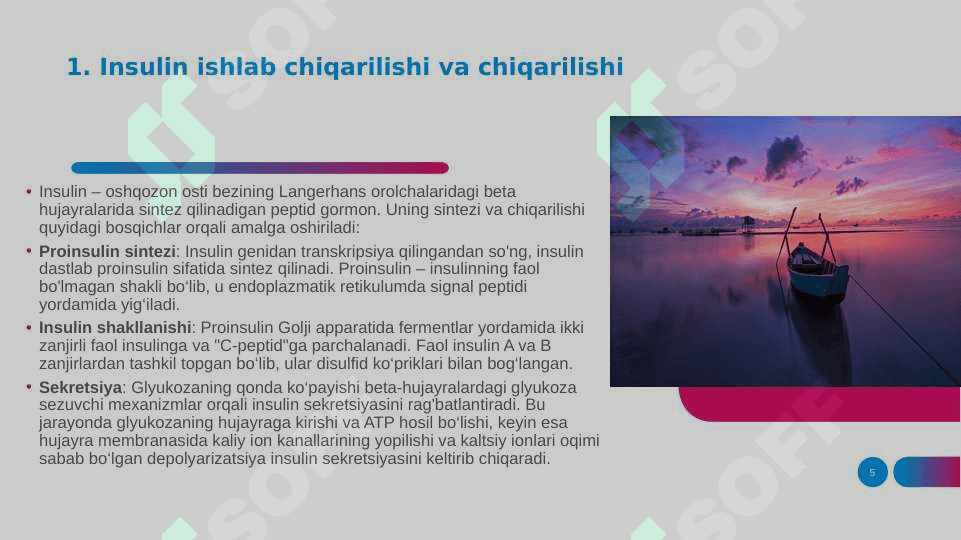 Uglevodlar almashinuvi boshqarilishi buzilishi 5