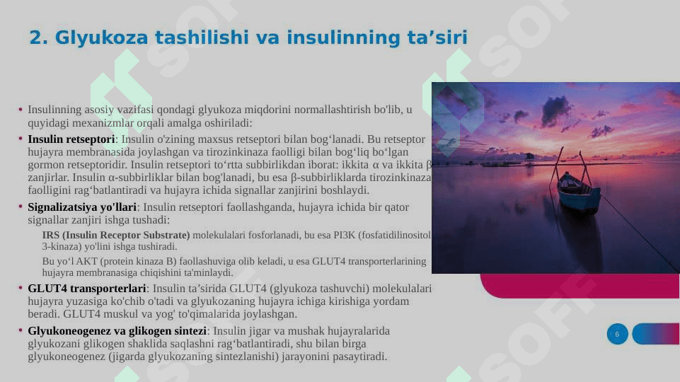 Uglevodlar almashinuvi boshqarilishi buzilishi 6