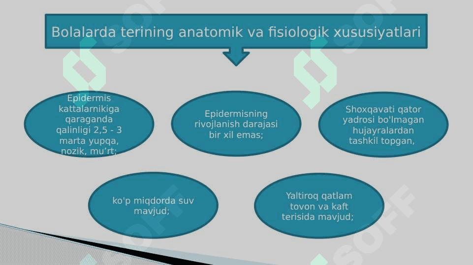 Bolalarda teri, teri osti yog’ qavatining  xususiyatlari 4