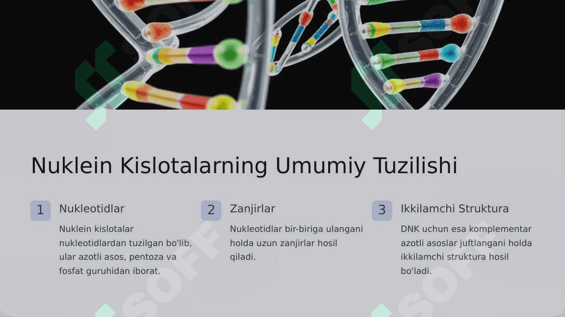 Nuklein kislotalarning birlamchi strukturasi. DNKning ikkilamchi strukturasini hosil bo‘lishida komplementarlik prinsipi. Chargaff qoidalari. DNK qo‘sh zanjirining tavsifi. 2