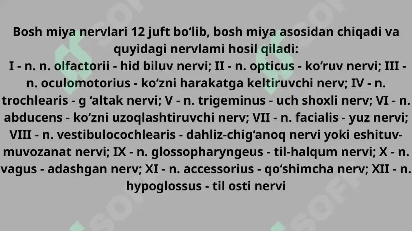 Bosh miyaning 12 juft nervlari 2