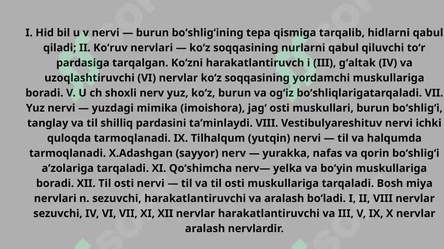 Bosh miyaning 12 juft nervlari 4