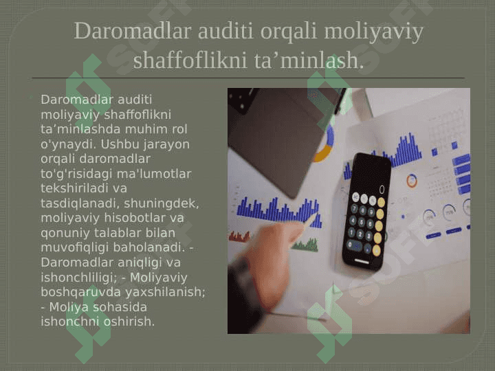 Daromadlar auditi 7