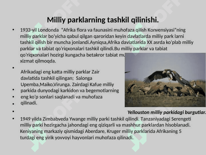 Dunyoda ekologik turizmning resurslari: milliy parklar, tabiat qoʼriqxonalari, alohida qoʼriqlanadigan hududlar 6