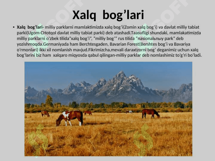 Dunyoda ekologik turizmning resurslari: milliy parklar, tabiat qoʼriqxonalari, alohida qoʼriqlanadigan hududlar 8