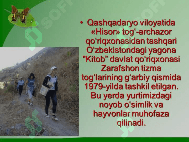 Tabiat buyurtmaxonalari, rezervatlar va tabiat yodgorliklari. 8
