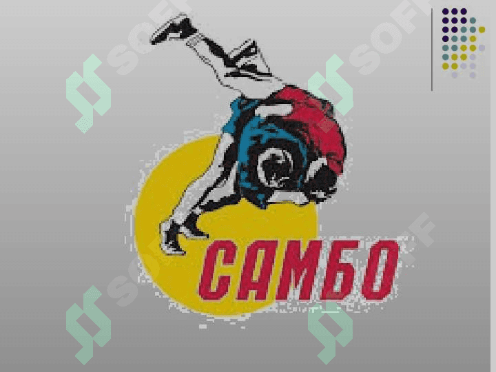 Sambo 4