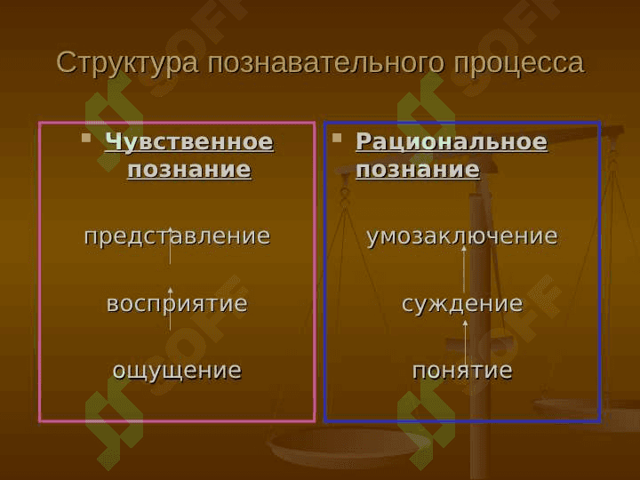Мышление и чувственное познание интеллект 2