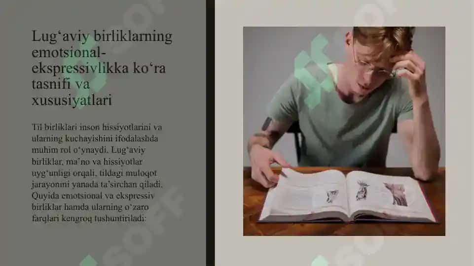Lug'aviy birliklarning emotsional ekspressivlikka ko'ra guruhlanishi 3