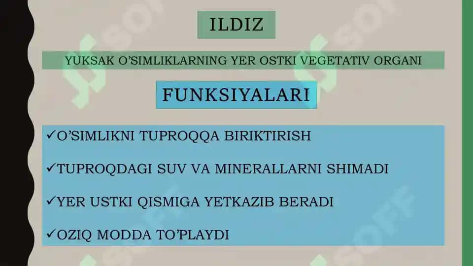 ILDIZ 3