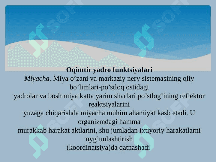 BOSH MIYA FIZIOLOGIYASI, BAZAL YADROLAR 2