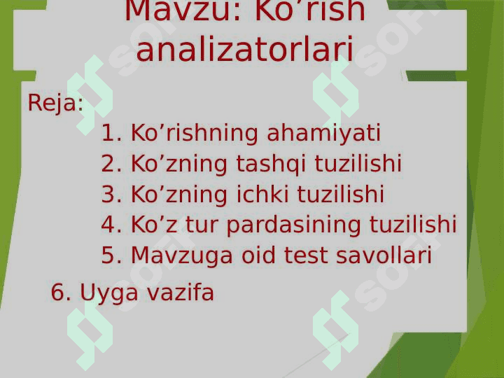 Ko’rish analizatorlari 2