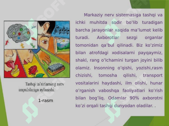 Ko’rish analizatorlari 3
