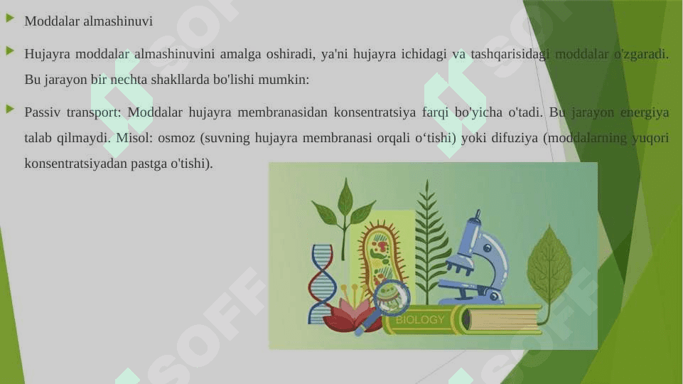 Hujayrada moddalar almashinuvi .Hujayrada energetik almashinuv 3