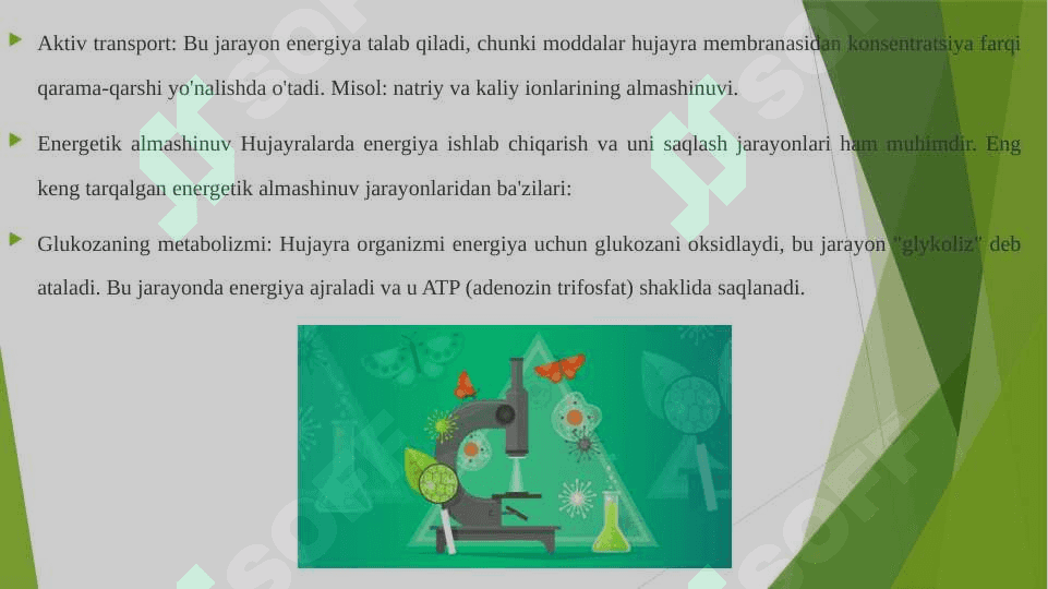 Hujayrada moddalar almashinuvi .Hujayrada energetik almashinuv 4