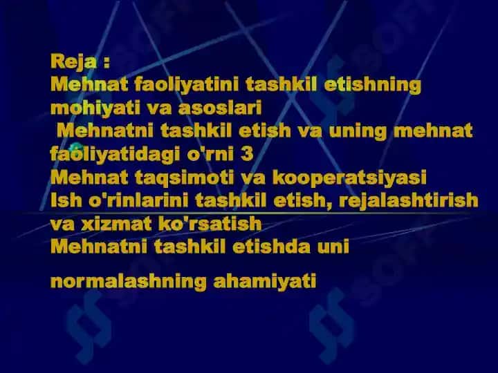 Mehnatni tashkil etishning ahamiyati 2
