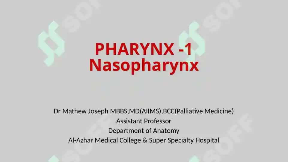 Pharynx 4