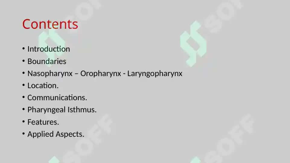 Pharynx 5