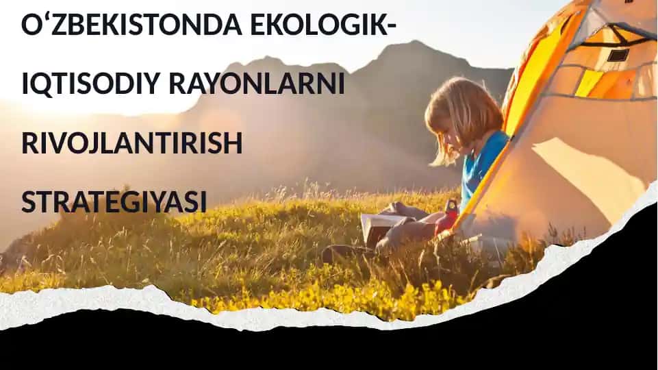 O‘ZBEKISTONDA EKOLOGIK-IQTISODIY RAYONLARNI RIVOJLANTIRISH STRATEGIYASI
