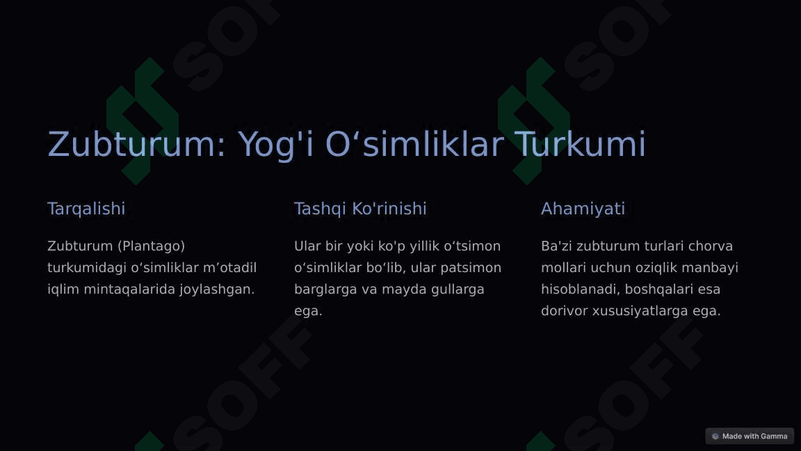 Zubturumdoshlar: Bir Hayotga Shoxlar Otishgan Oila 2