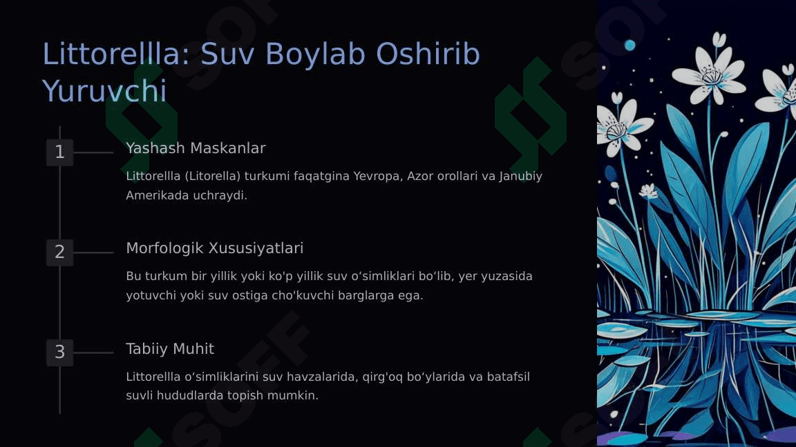 Zubturumdoshlar: Bir Hayotga Shoxlar Otishgan Oila 3