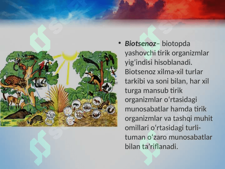 Ekosistemalarning tarkibiy qismlari 6