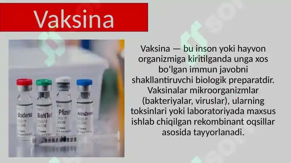 Vaksinalar 2