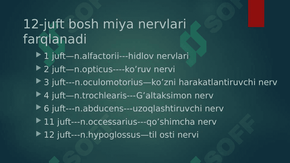 Nervi craniales. 12 juft bosh miya nervlari 2