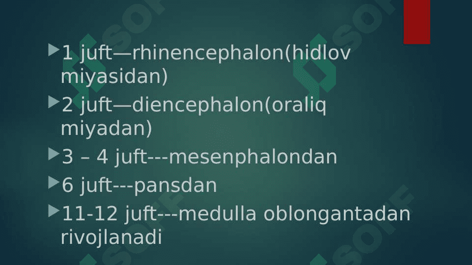 Nervi craniales. 12 juft bosh miya nervlari 3