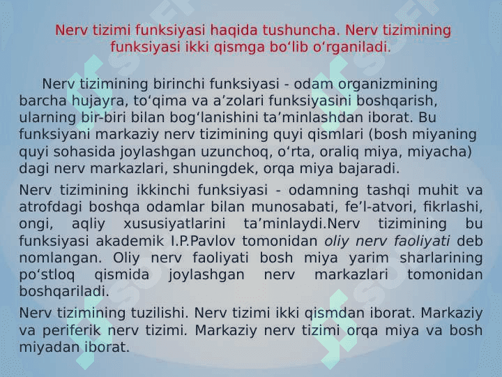 Nerv tizimi va oliy nerv faoliyati. Analizatorlar 3