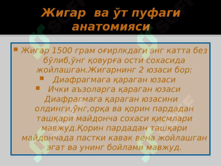 Jigar fva taloq anatomiyasi 2