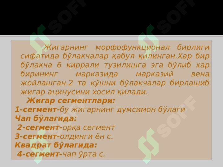 Jigar fva taloq anatomiyasi 6
